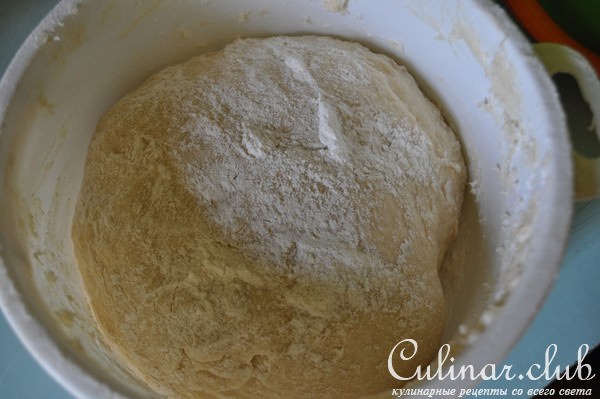 Вареники с чёрной смородиной и яблоками