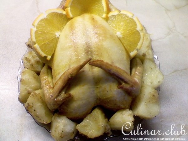 "АПЕЛЬСИНОВАЯ КУРОЧКА"