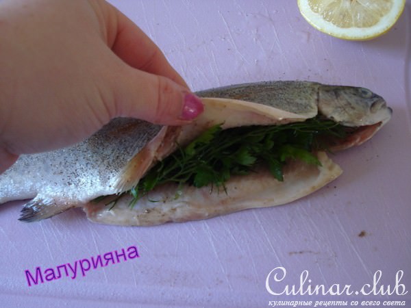 Форель " Экзотика "