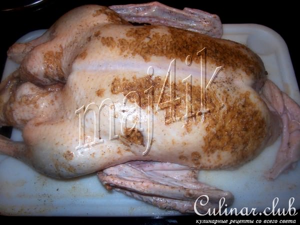 Фаршированная утка - Рождественский вариант (репетиция перед праздниками)