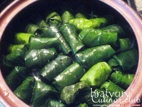 Голубцы в листьях липы: женский вариант рецепта