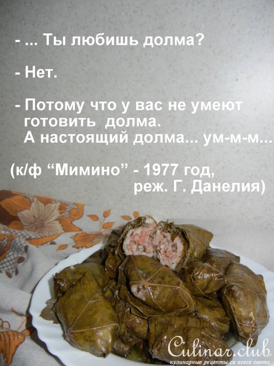  /  () ( ) 