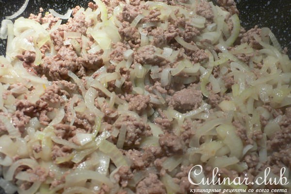      ( Geschmortes Zwiebelhackfleisch ) 