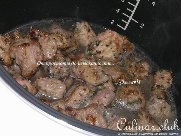 Рагу из говядины с морковью и мятой (в мультиварке)