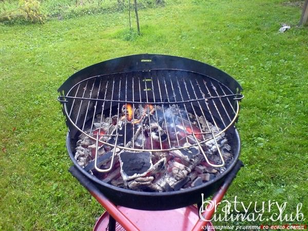 Шашлык дачный с еловыми ветками