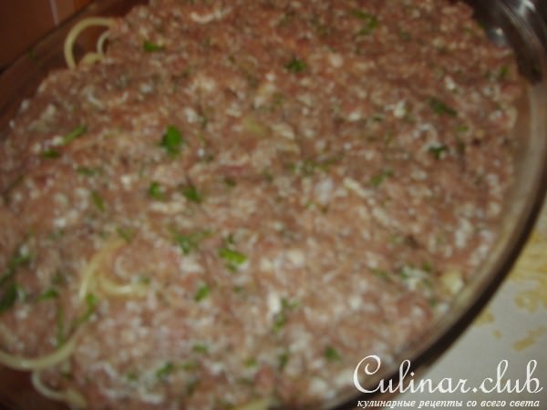 ЛАЗАНЬЯ ленивая