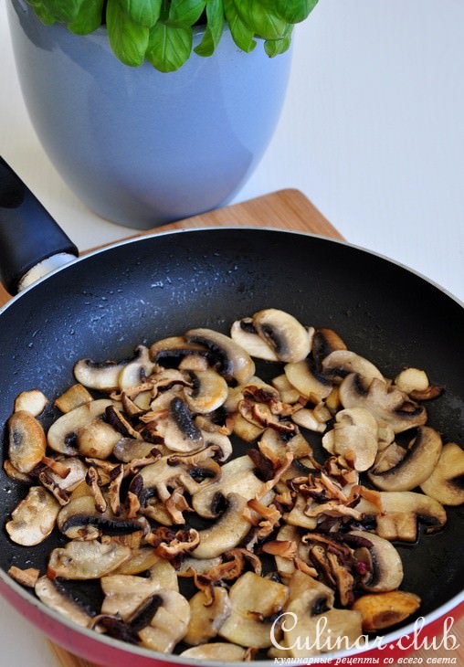    (risotto ai funghi) 