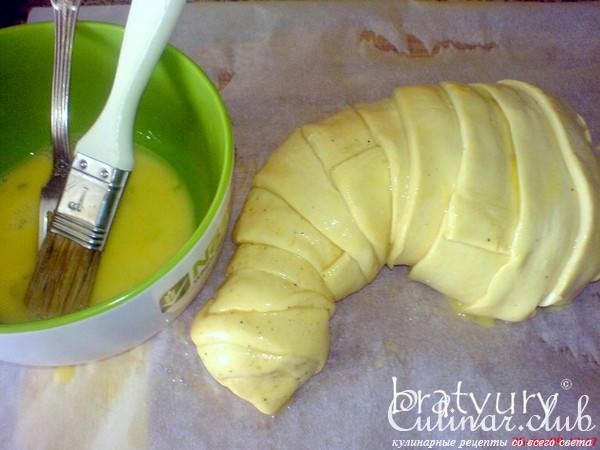 Раненая курица