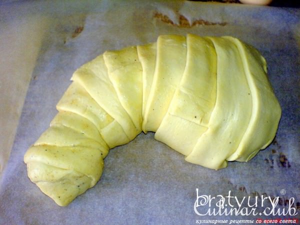 Раненая курица