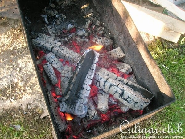 Шашлык из индейки