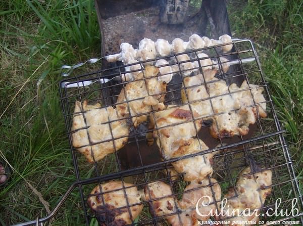 Шашлык из страуса