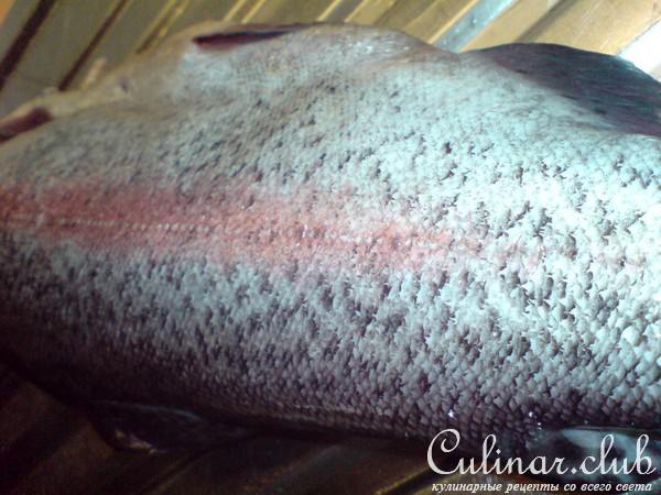 Морская форель ,запечённая с овощами