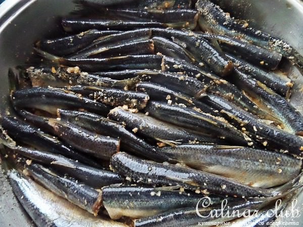 Балтийская салака (Baltijas renges) тушёная под сметаной с овощами
