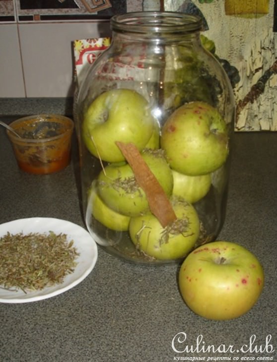 Яблоки моченые с корицей, душицей, зверобоем и мятой.