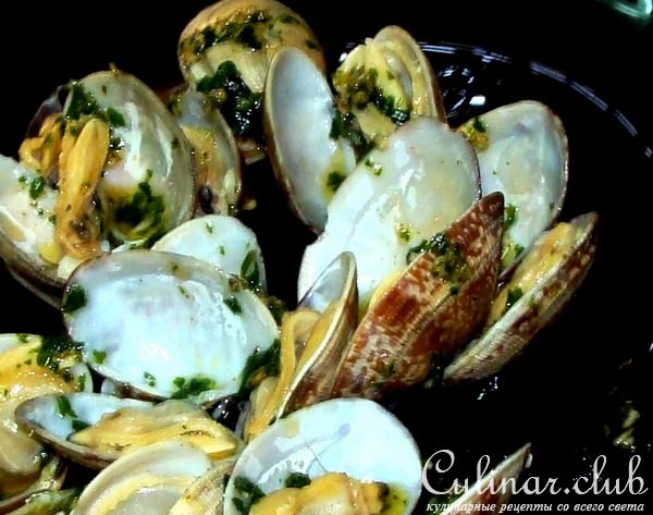 морские ракушки