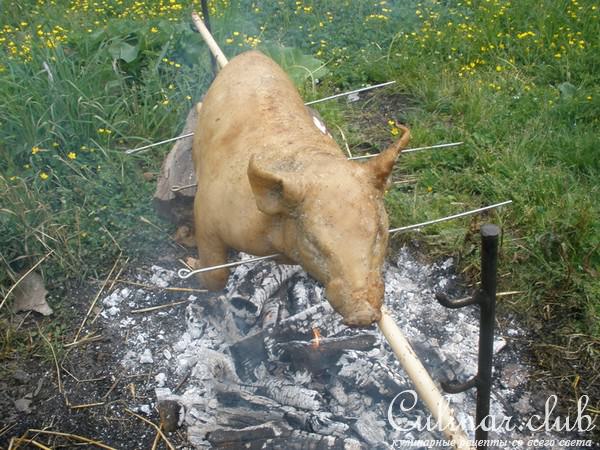 Поросенок жаренный