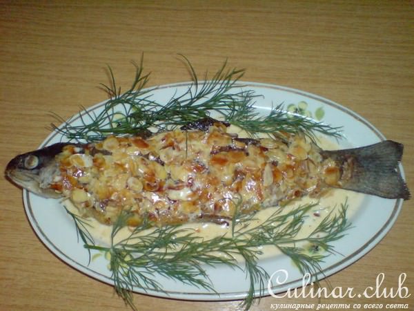 Форель в миндально-ореховом соусе