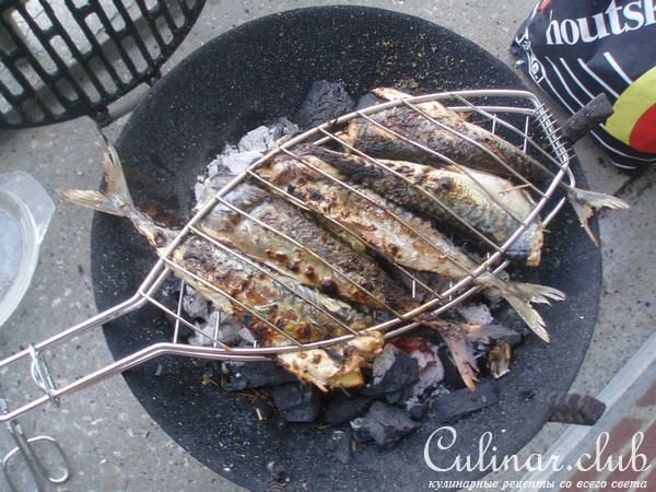 Макрель, она же скумбрия для пикника