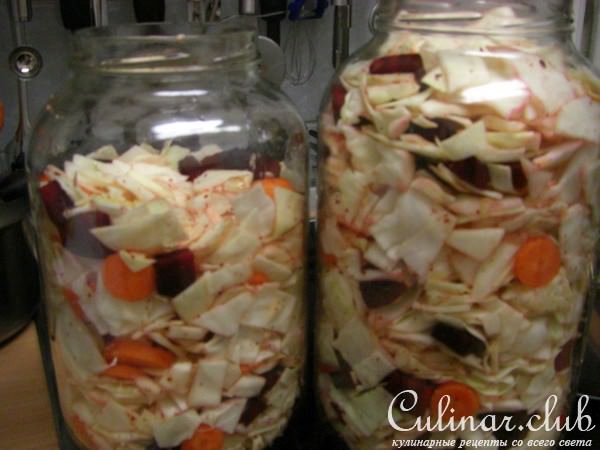 Капустачка красненькая
