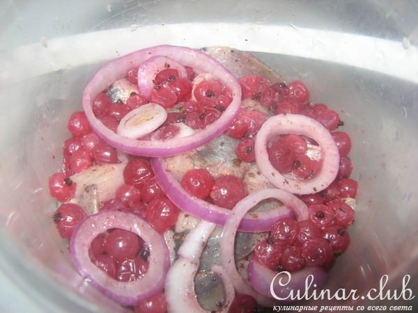 Сельдь малосольная со смородиной