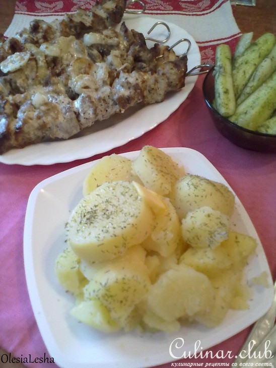 Фантастически мягкое мясо для ШАШЛЫКА за полчаса+блиц рецепт "малосольных" ОГУРЧИКОВ)))
