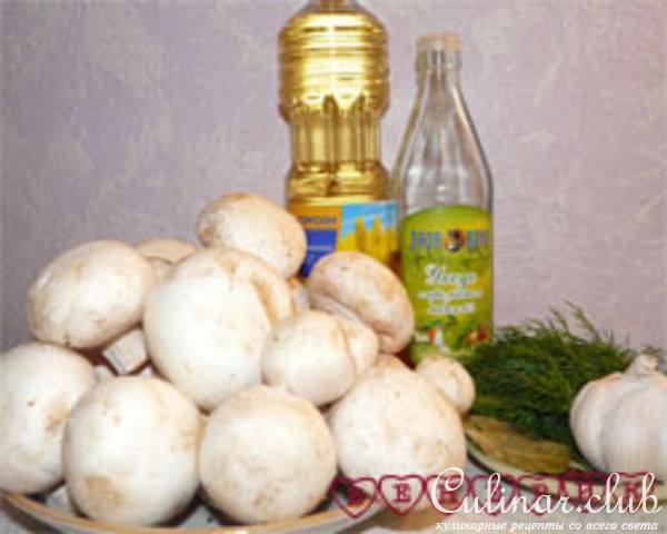 Мировые грибочки