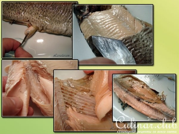Дуэль Fishka - Millefeuille (Тысячелистник) "РЫБКА ЗОЛОТАЯ"