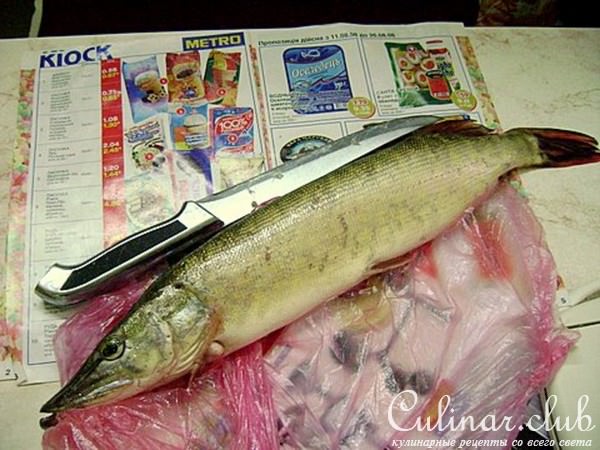 БОРЬБА СО ЩУКОЙ не на оценку