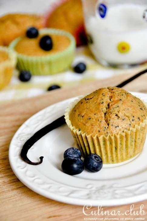 Pumpkin Cupcakes 