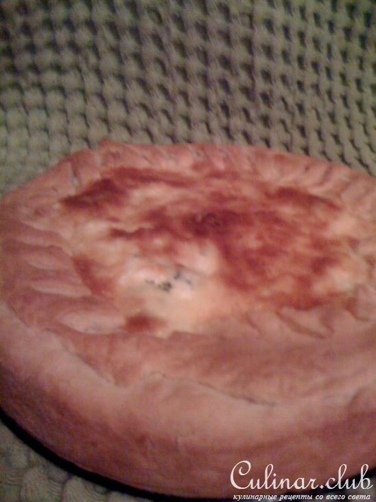Пирог со шпинатом и сыром