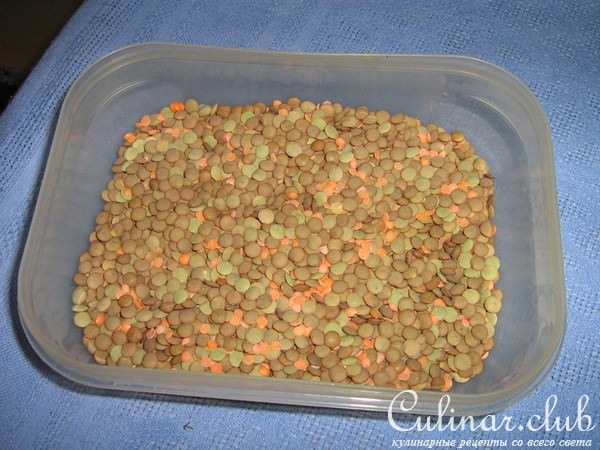 Паштет из чечевицы с авокадо,черносливом и курагой
