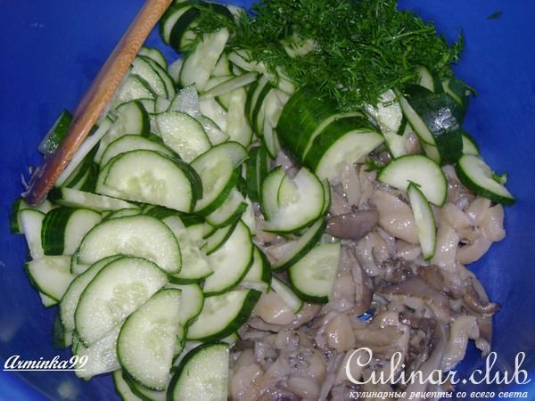 Простой ,но очень вкусный огуречно-грибной салат с творожной заправкой