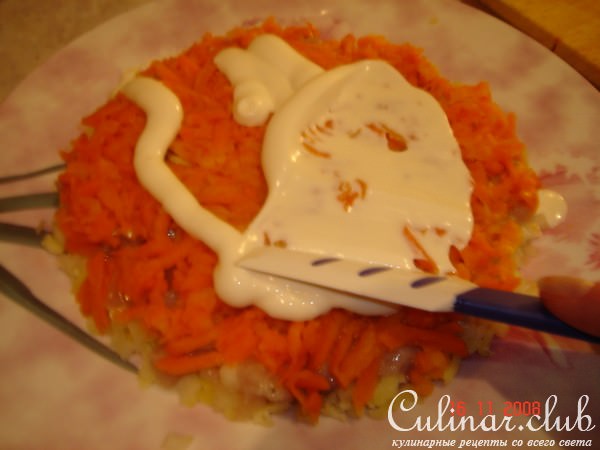 Рыбка под шубкой