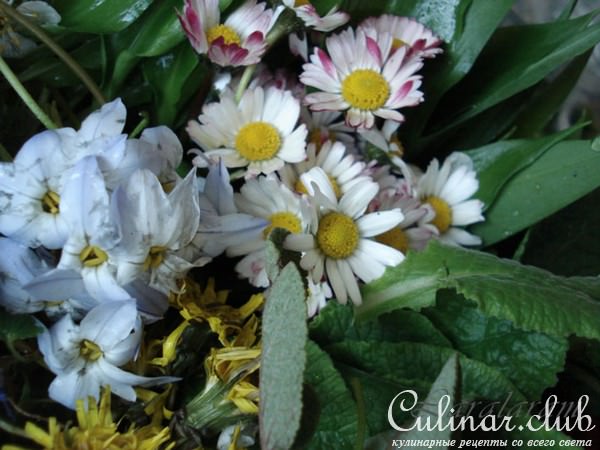 Салат весенний ЦВЕТЕНИЕ САКУРЫ (только любителям природы!)