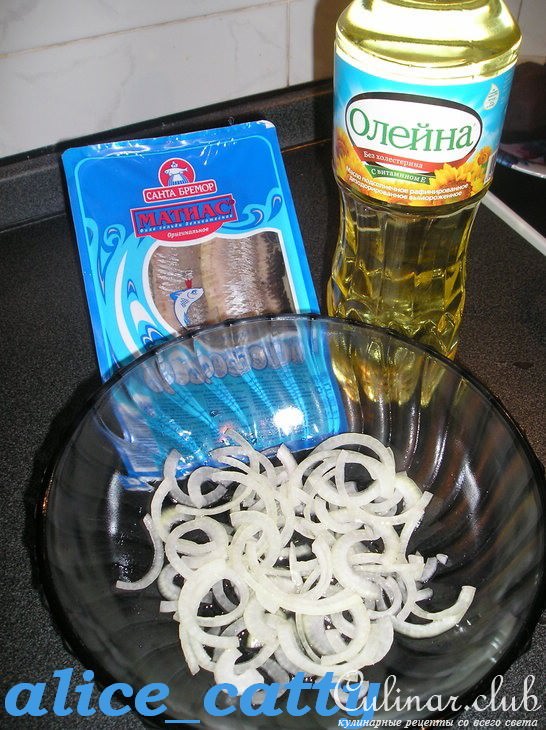 СЕЛЁДОЧКА ПОД ШУБОЙ