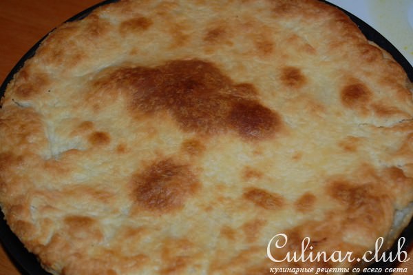 Лимонник