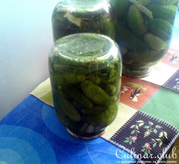 огурцы для моей семьи или на вкус и цвет...