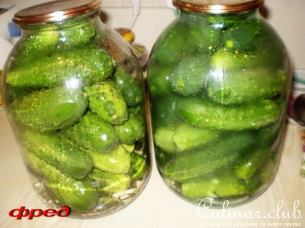 Огурчики консервированные