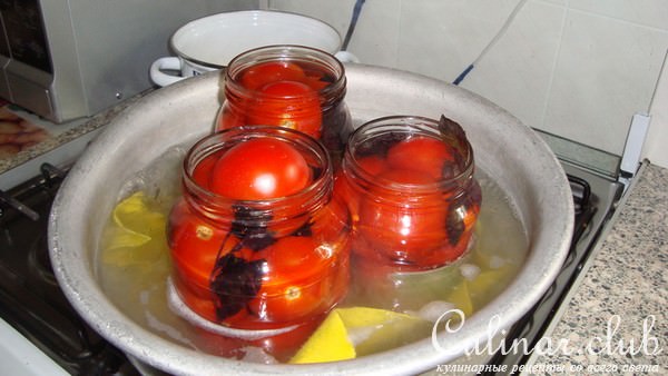 томаты с базеликом