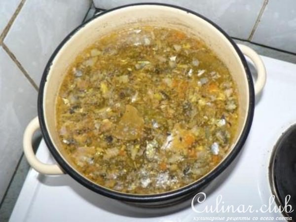 Суп из сайры