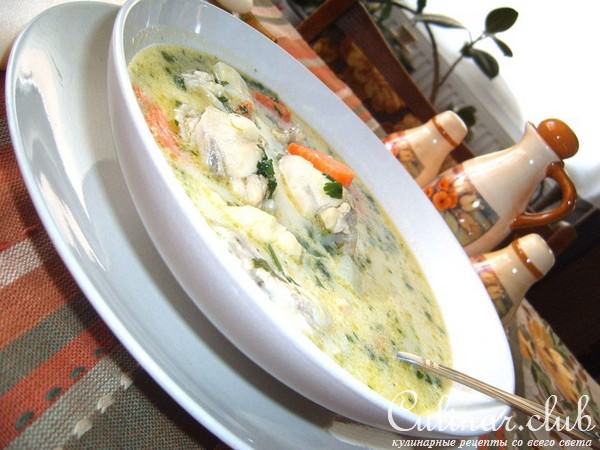 Спаржевый-куриный суп со сливками и галушками