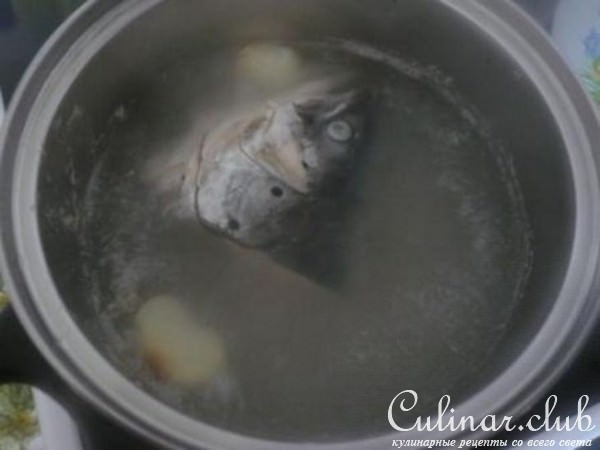 Уха антикризисная