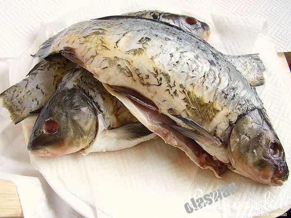 Halaszle/Суп рыбака