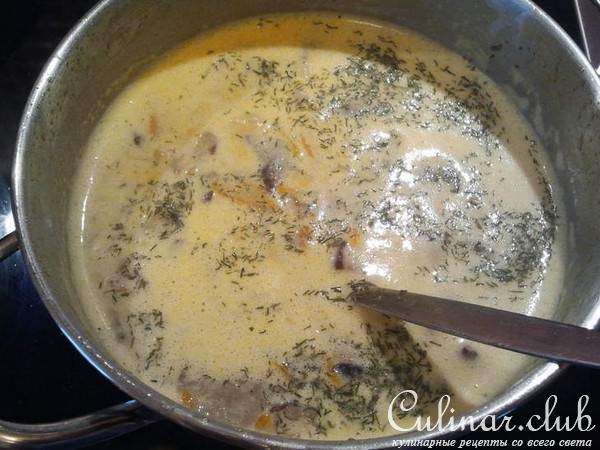 Грибной супчик с лесными грибочками