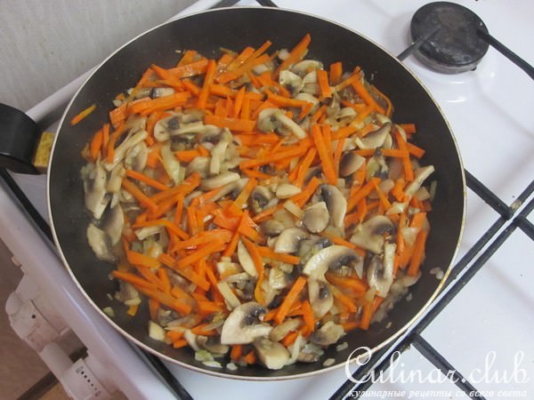 Солянка грибная