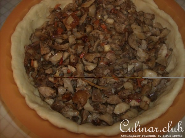 Открытый пирог с уткой и вешенками