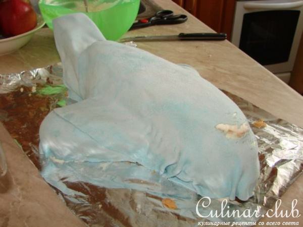 Торт Самолет (не для оценки)