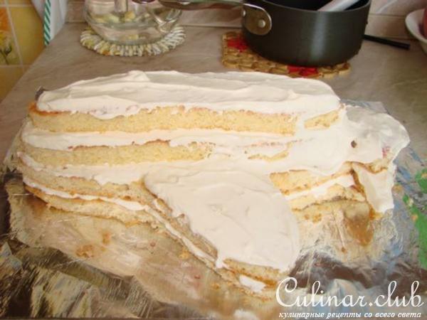 Торт Самолет (не для оценки)