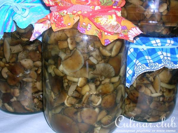 МАРИНОВАННЫЕ ОПЯТА ( в особо крупных масштабах)