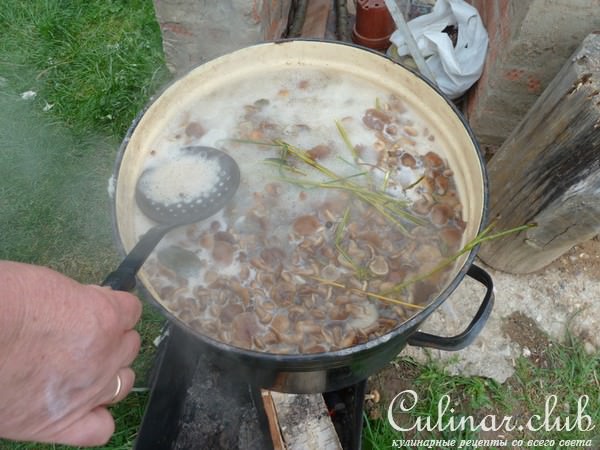 МАРИНОВАННЫЕ ОПЯТА ( в особо крупных масштабах)